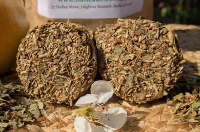 Woodland Delight